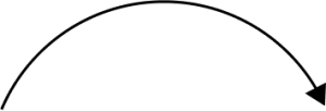 Layer_1 (2)